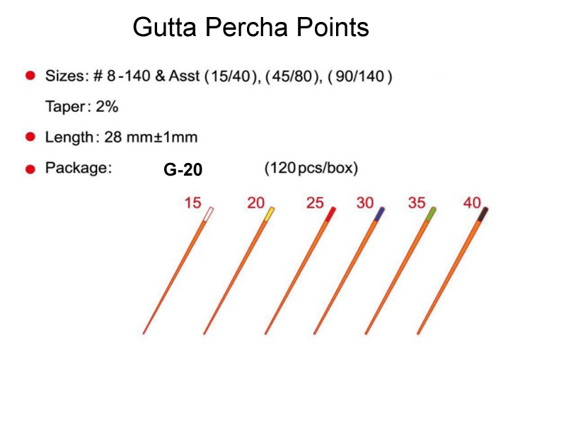 Gutta Percha Points Size